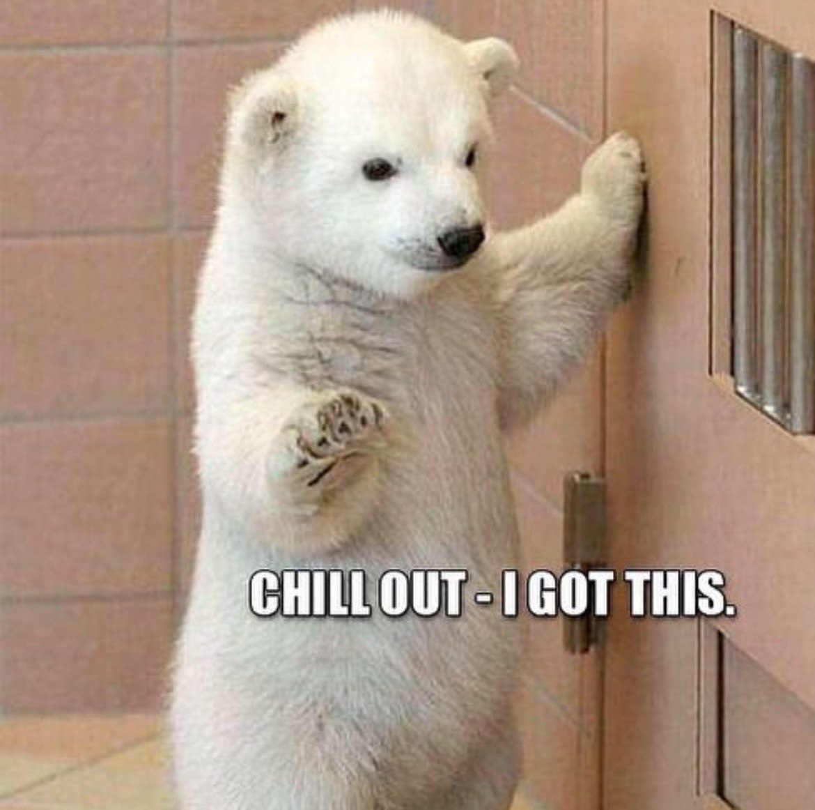 Chill I got this