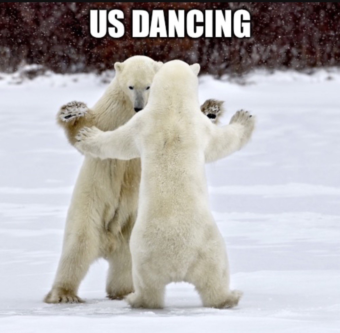 Dancing bears