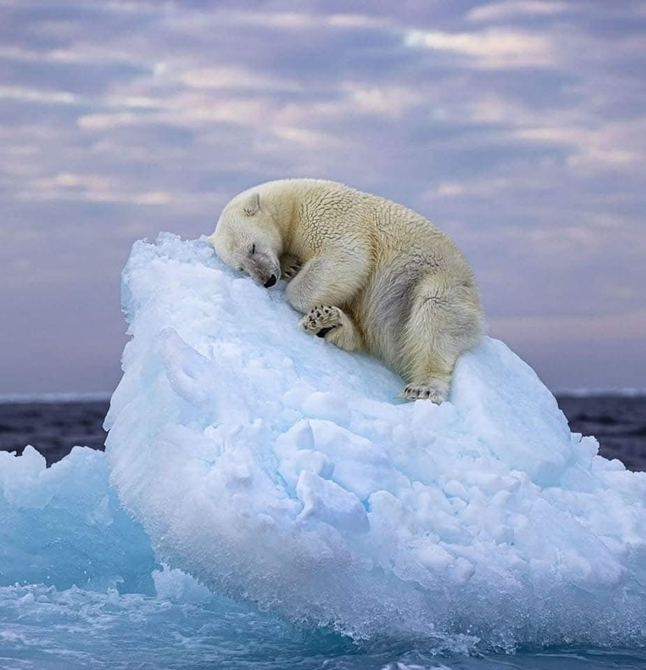 Sleeping Bear