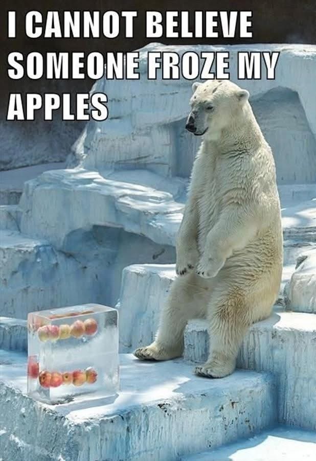 Icy Apples